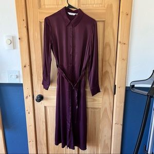 & Other Stories purple shirt dress